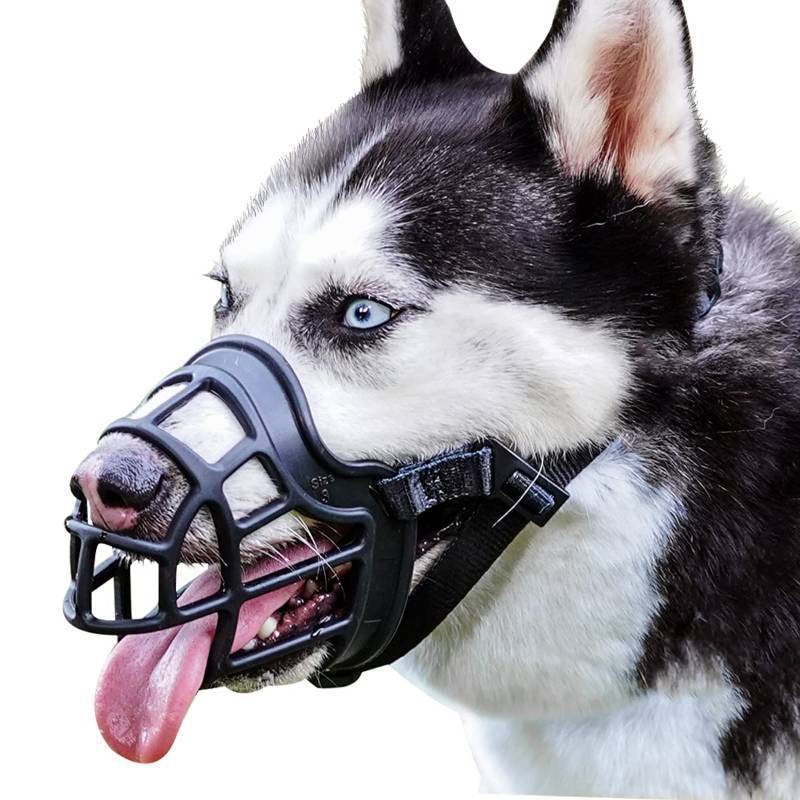 lot 26282 image: Dog Muzzle, Basket Muzzle Anti Biting Chewing, Sturdy Lightweight Cage Mouth Cover for Small Medium Large Sized Dogs, Allows Panting Drinking, Suitable for Grooming Trimming Training - Retail $20