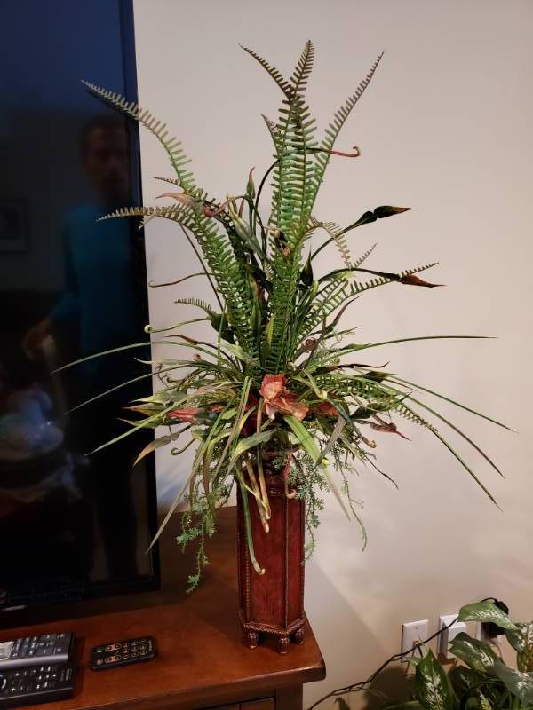 lot 5106 image: (2) plants