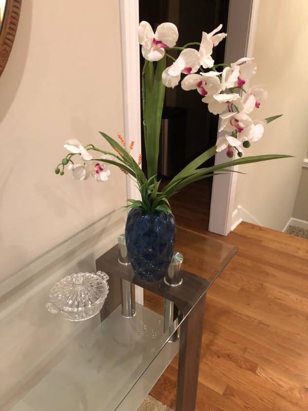 lot 5144 image: Orchid plant