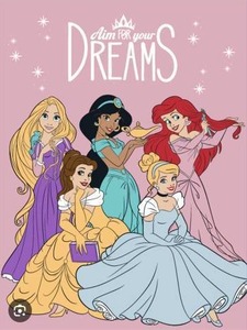 lot 12377 image: Disney Princess Dreams TwinFull Blanket