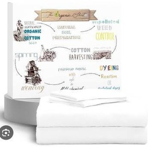Supreme Elegance 4-Piece 100% Organic Cotton Queen Size Sheet Set, White