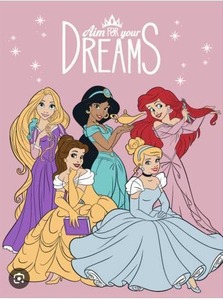 lot 12477 image: Disney Princess Dreams TwinFull Blanket