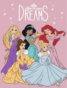 lot 12672 image: Disney Princess TwinFull Raschel Blanket