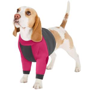 lot 2964 image: LeLePet Dog Recovery Suit for Front Legs, Dog Sleeve to Stop Licking, Elbow Protector for Leg Injuries Shoulder Wounds After Surgery Male Female,Zippered Long-Sleeved Shirt Cone Alternative(L)