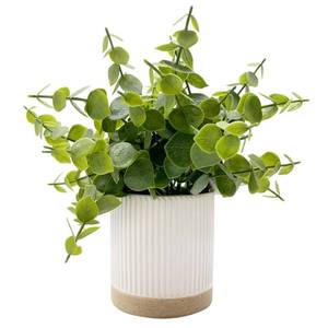 lot 2975 image: Coferset Small Fake Plants Eucalyptus Potted Artificial Plants Faux Plant Greenery in Ceramic Pot for Bedroom Kitchen House Living Room Shelves Farmhouse Table Office Desk Bathroom Home Indoor Decor