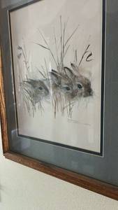 lot 40006 image: Framed Wildlife Rabbits Art Print