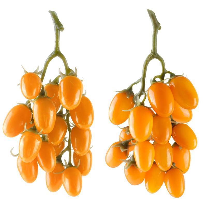 lot 36493 image: Artificial Tomato String, 2 Pack Simulation Artificial Lifelike Fake Fruits Vegetable Photography Props Home Kitchen Harvest Decoration (Yellow Tomato, 2pcs) - Retail $10