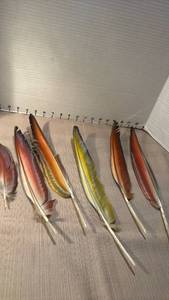 lot 1048 image: Scarlet macaw feathers