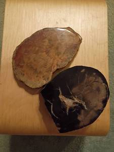 lot 1642 image: 2pcs. Agate Slabs or Polished Petrified Wood.  Black one says its from Eden Valley Wood Wyoming