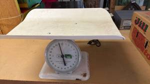 lot 2202 image: Vintage Sears baby scale
