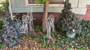 lot 3000 image: Three Pre lit Deer and Four Faux Pine Trees