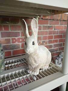 lot 3119 image: 14in Rabbit