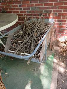lot 3128 image: Wagon with twigs for fire starter.  Wagon is 24 x 23 x 55