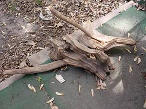 lot 3133 image: Driftwood Pieces