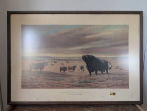 lot 5502 image: F.C. Murphy Angus Breed Launch Commemorative Print 1873 -23x32
