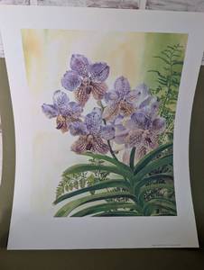 lot 5518 image: Vanda Hilo Princess Alice Orchid Limited Edition Print by Josette Gourley
