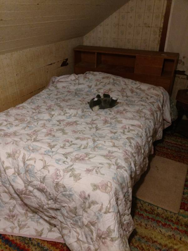lot 16062 image: Full sized complete bed