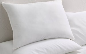 lot 9249 image: Casaluna Down Alternative Firm Pillow StandardQueen - Retail $25