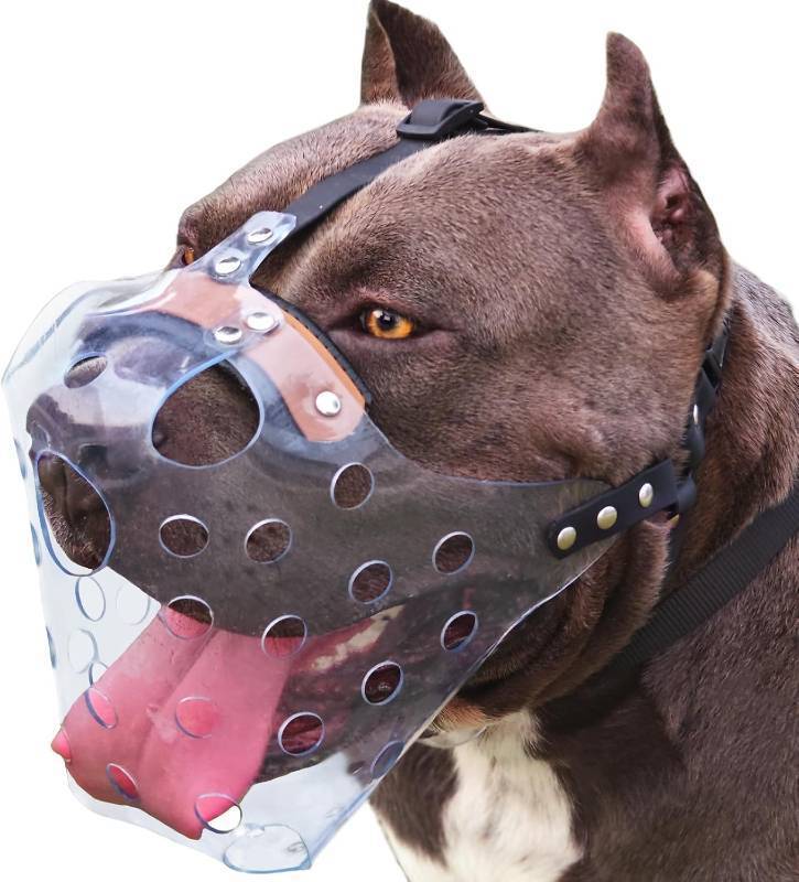 lot 56369 image: Pitbull Muzzle, Basket Muzzle for Large Dogs Rottweiler to Prevent Biting Chewing Scavenging, Breathable Dog Mouth Guard for Grooming Vet Visits that Allows Panting Drinking - Retail $27