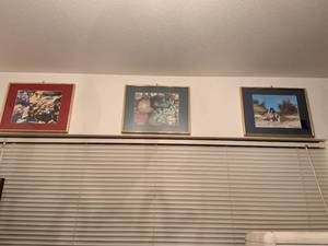 lot 189 image: Framed Nature Photography Collection and Sterling Noble Wall Clock