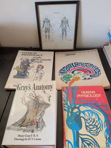 lot 242 image: Medical Anatomy and Physiology Book Collection with Framed Muscle Chart
