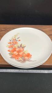 lot 4 image: Northwest Melmac Orange Floral Melamine Dinner Plates Set of 4
