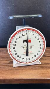 lot 4407 image: Hanson Model 2000 Utility Scale 25 Pound Capacity