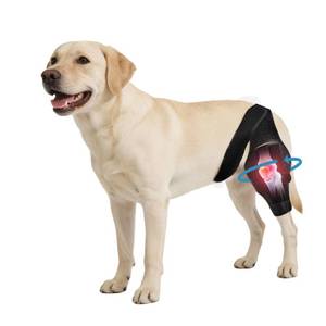 lot 6492 image: Noorace Dog Knee Brace for Torn ACLCCL & Hind Leg Support - Adjustable Brace for Arthritis Relief, Joint Stability & Injury Recovery - Fits Small & Medium Dogs