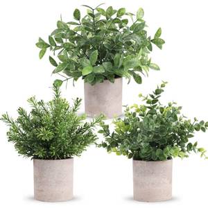 lot 9519 image: Der Rose 3 Pack Mini Potted Fake Plants Artificial Plastic Eucalyptus Plants Topiaries for Home Office Desk Farmhouse Shelf Room Bathroom Decor(Green)