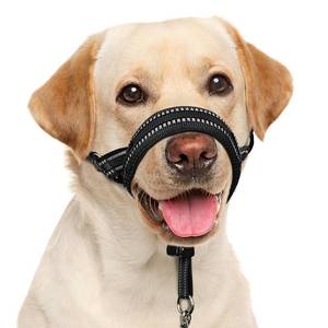 lot 12277 image: BARKLESS Soft Dog Head Collar, Patented Padded No Pull Head Halter, Training Nose Leash with Safety Link for Medium Large Dogs, Adjustable Muzzle Leash, Easy Control for Walking(Black, M)