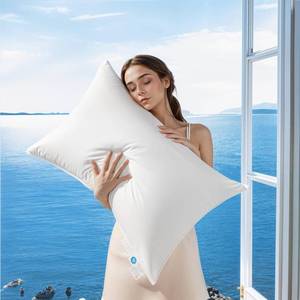 lot 15958 image: AiAngu Canadian Luxury Goose Down Pillow Queen Size - 900 Fill Power, 100% Cotton with Teflon Shell- Ultra Comfort Sleep Pillows - Bed Pillows for Back, Stomach, Side Sleeper(White,Queen(Pack of 1))