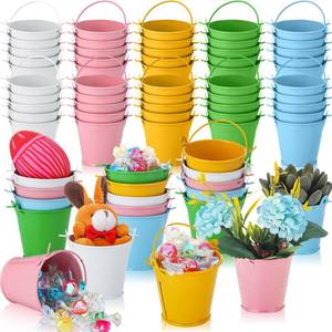 lot 18454 image: FillTouch 50 Pcs Easter Mini Metal Buckets with Handle Easter Party Favors Colored Galvanized Small Round Metal Pail Classroom Pencil Holder Flower Pot Plant Basket for Candy Craft