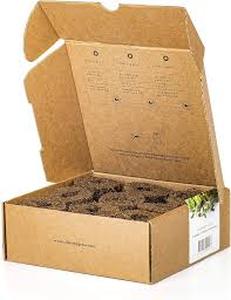 lot 12297 image: Click & Grow Basil Variety Mix Seed Pack