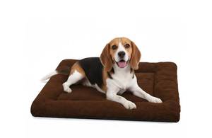 lot 1968 image: ZENGAOOU Dog Crate Pad 36 Inch, Washable Plush Crate Mat for Medium Dogs, Non Slip Kennel Pad for Metal Wire Crates, Cushioned Support for Indoor Use, Brown