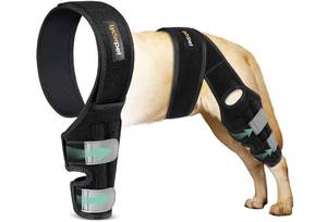 lot 2185 image: Lyderpet Dog Knee Brace for Torn ACL Hind Leg, ACL Brace for Dogs Rear Leg, with Side Stabilizers Strong Support to Reduce Joint Pain and Muscle Sore for Back Leg