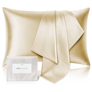 lot 6148 image: 100% Pure Mulberry Silk Pillowcase for Hair and Skin - Allergen Resistant Dual Sides,600 Thread Count Silk Bed Pillow Cases with Hidden Zipper,1pc,King Size,Champagne