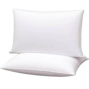 lot 9577 image: Gooeb Flat Ultra Thin Bed Pillows StandardQueen Size Pillow Set of 2 Extra Soft Down Alternative for Stomach Back Sleeping White