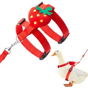 lot 12007 image: SilTriangle Duck Harness Leash Set Duck Harness and Leash for Real Ducks Adjustable Walking Rope Pet Cute Pattern Outdoor Traction Rope for Chicken Rabbit Small Animals(Xs,Strawberry)