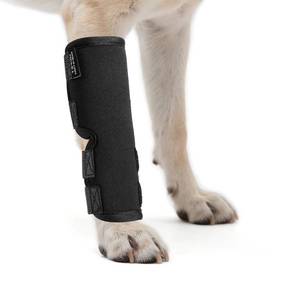 lot 12381 image: Petanims 2 Packs Dog Front Leg Brace for Remission Hyperextension - Wrist Support for Sprain, Arthritis & Injury Recovery - Adjustable Non-Slip Dog Leg Wrap, Fits Left or Right, Medium (Used)