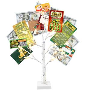 lot 14447 image: Vanthylit Money Tree Gift Holder, Lighted Tabletop Birch Tree with Clips and Greeting Cards, Photo Decorations for Birthday Wedding Christmas Graduation Gifts(24 LED Warm White)