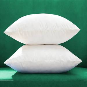 lot 15011 image: Winighting Extra Thick and Full Set of 2 Plump Cotton Fabric Throw Pillow Inserts, Overfilled Cushion Filler, 20 X 20 Inches