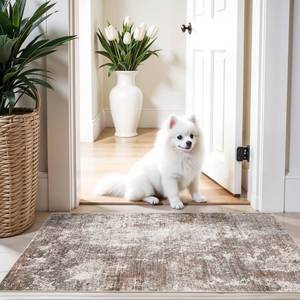 lot 20076 image: 2x4 Washable Non-Slip Runner Rug �� Small Throw Rug for Kitchen Floor, Bedroom, Entryway, Bathroom, Bedside �� Modern Abstract Neutral Low-Pile Thin Indoor Door Mat (Brown Beige,2x4)