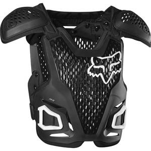 Fox Racing R3, Guards, Unisex, Black, L-XL - Retail: $115
