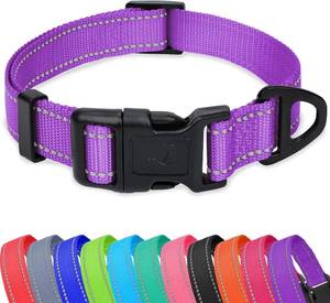 lot 3558 image: Taglory Reflective Adjustable Dog Collars for Puppy Small Medium Large Dogs, Thin Nylon Webbing and Quick Release Plastic Buckle(Purple, Medium)