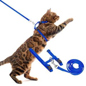 lot 4343 image: PUPTECK Adjustable Cat Harness and Leash Set Escape Proof Kitten Strap Collar for Walking Travel, Blue, M