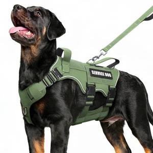 lot 4562 image: MOOGROU Service Dog in Training Vest and Leash Set with 10 Patches,Heavy Duty Tactical Dog Harness with Metal Buckles for Large Dogs,No Pull Easy Walking for Training Working Hiking,Green L