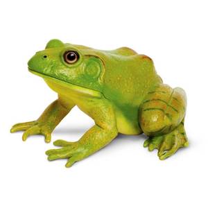 lot 41877 image: Safari Ltd. American Bullfrog Figurine - Realistic 4.75 Model Figure - Educational Toy for Boys, Girls, and Kids Ages 18M - Retail $12