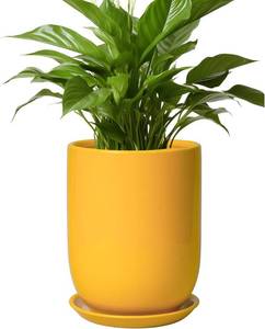 lot 211416 image: Plant Pot 8 Inch - Ceramic Plant Pot with Drainage Hole and Saucer Large Planter for Indoor Plants Outdoor Modern Flower Pot for Home Garden Decor Yellow