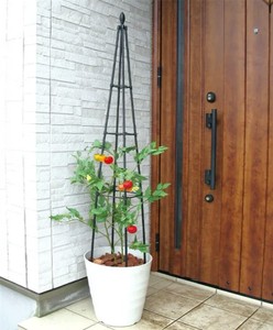 lot 411286 image: Retails for $120 Titan  Pyramid Trellis