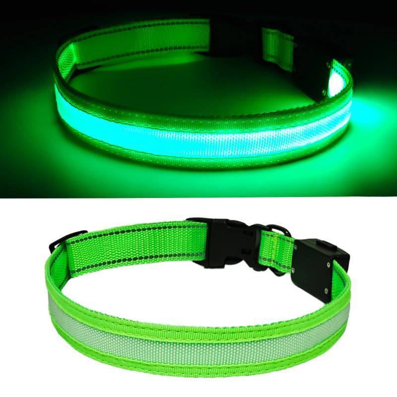 lot 58890 image: LED Dog Collar Light Up with 2025 Bright Beads & 300mAh Battery, Type-C Rechargeable Waterproof Dog Collar, 3 Flash Mode 15H for Night Safety, Adjustable Nylon Glow Collar for Small Medium Large Dogs